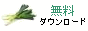 Leek banner